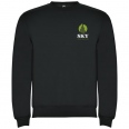 Clasica Unisex Crewneck Sweater 16