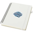 Liss A5 Recycled Plastic Hard Cover Spiral Notebook 11
