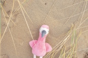 Plush Flamingo 5
