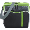 Cooler Bag 4