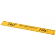 Renzo 30 cm Plastic Ruler 6
