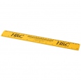 Renzo 30 cm Plastic Ruler 6