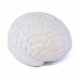 Brain 4