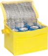 Rainham 6 Can Cooler 7