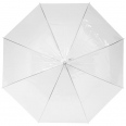 Kate 23" Transparent Auto Open Umbrella 3