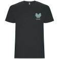 Stafford Short Sleeve Men's T-Shirt 16