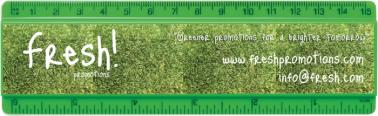 6&quot;/15cm Clear or Coloured Insert Ruler 3
