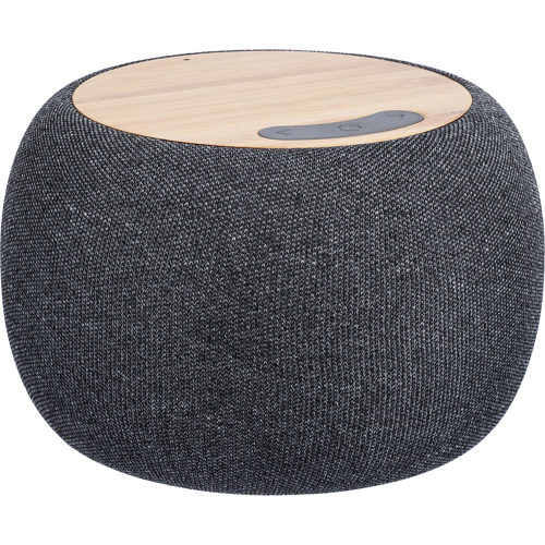 Recycled Bamboo Speaker
