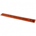 Rothko 30 cm Plastic Ruler 9