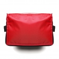 Griffin Cooler Bag 12