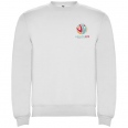 Clasica Unisex Crewneck Sweater 22