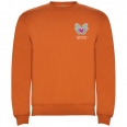 Clasica Unisex Crewneck Sweater 18