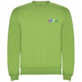Clasica Kids Crewneck Sweater 16