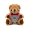 Small Jointed Teddy 2