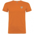 Beagle Short Sleeve Kids T-Shirt 12
