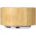 Cosmos Bamboo Bluetooth® Speaker 5