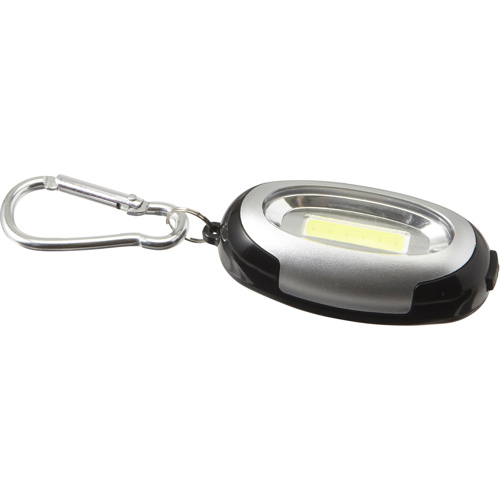 Light with 6 COB LED Lights