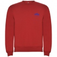 Clasica Kids Crewneck Sweater 6