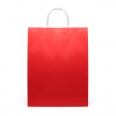 Brunswick Large Coloured Paper Bag 6