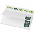 Sticky-Mate® Recycled Sticky Notes 100x75 Mm 1