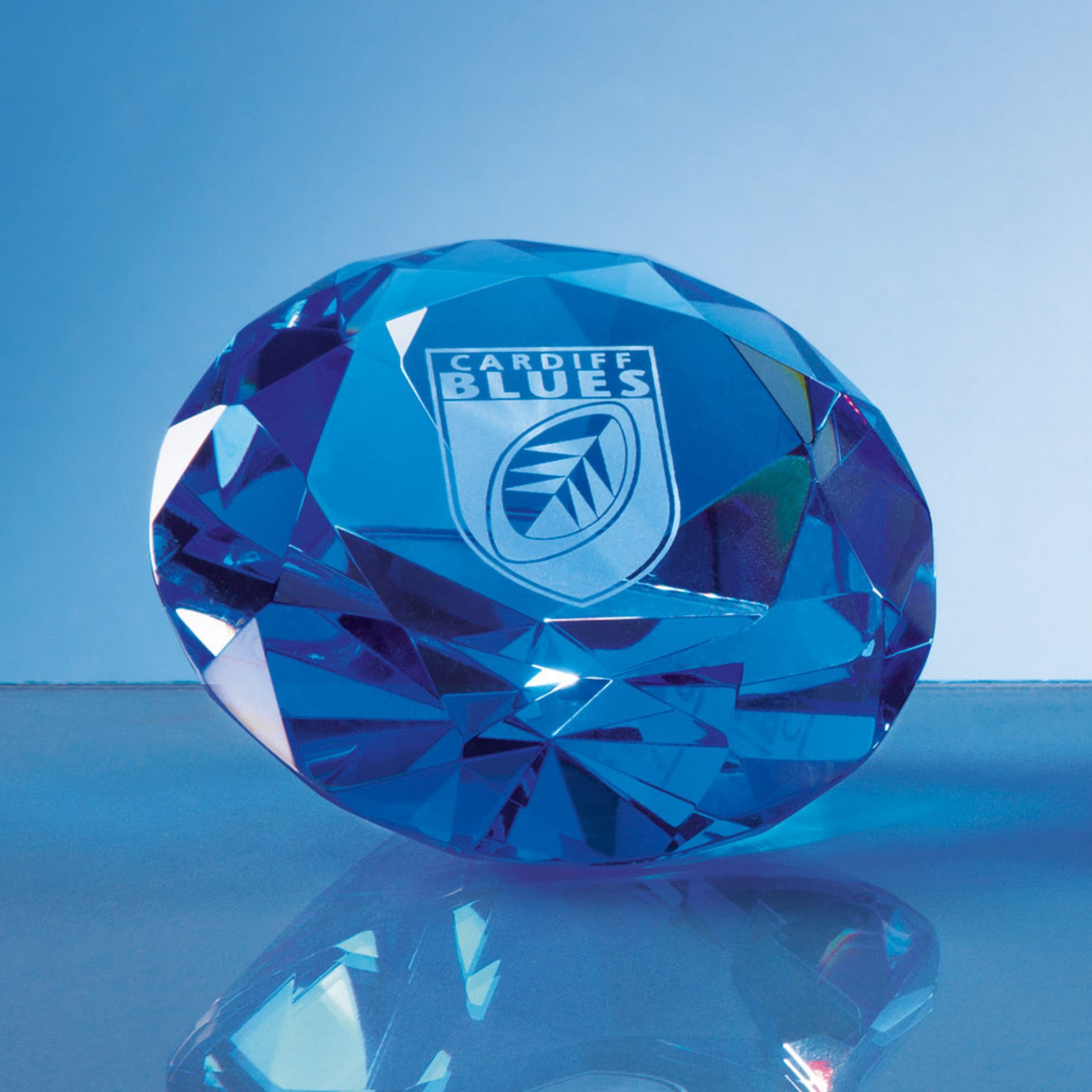 Optical Crystal Paperweight